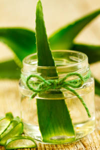 aloe-vera-homeopatia.jpg