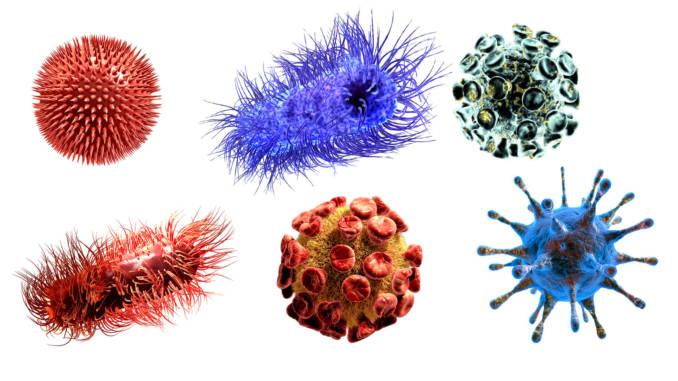 wirusy-bakterie.jpg