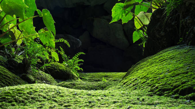 HANG-SON-DOONG.jpg