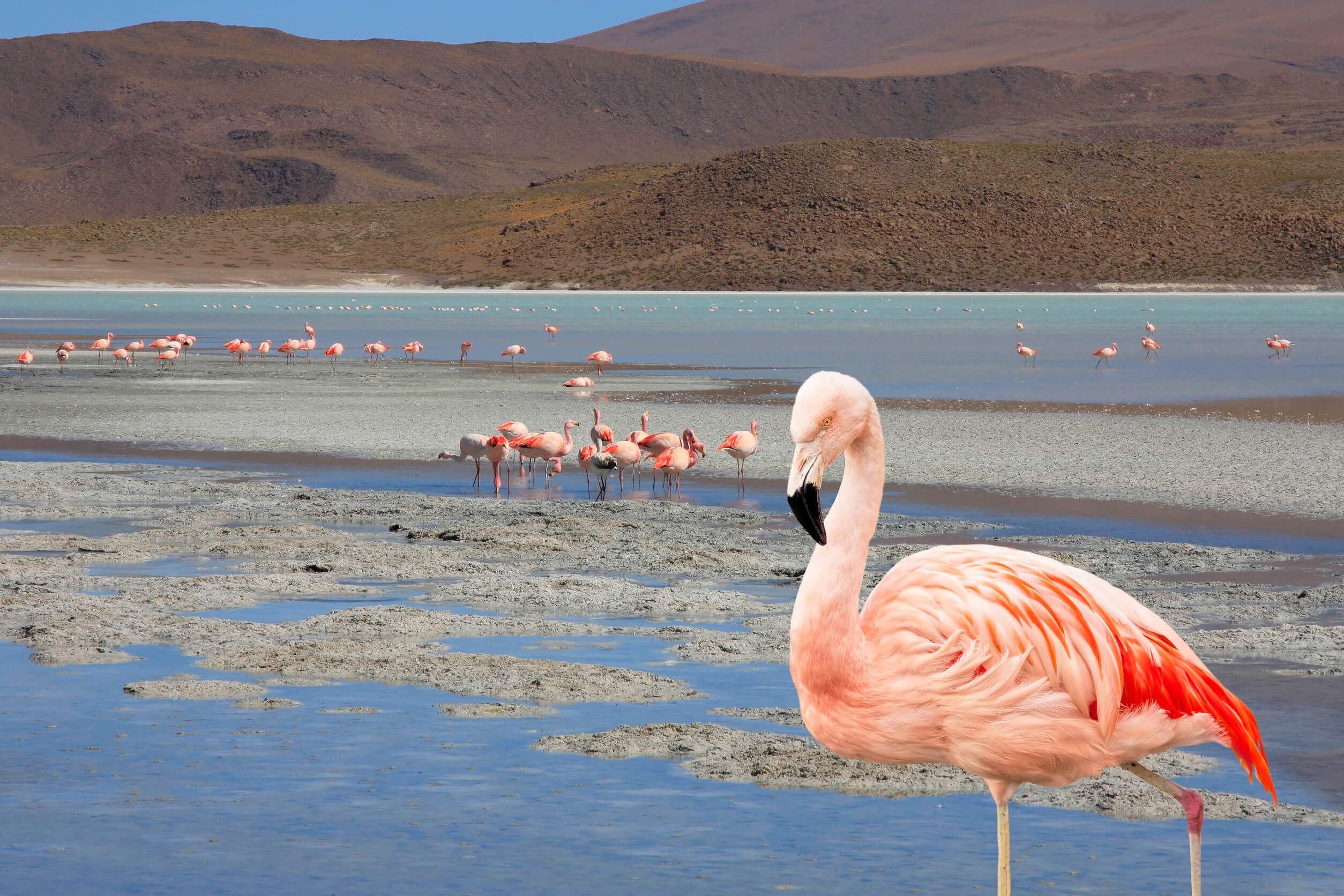 salar-de-uyuni.jpg