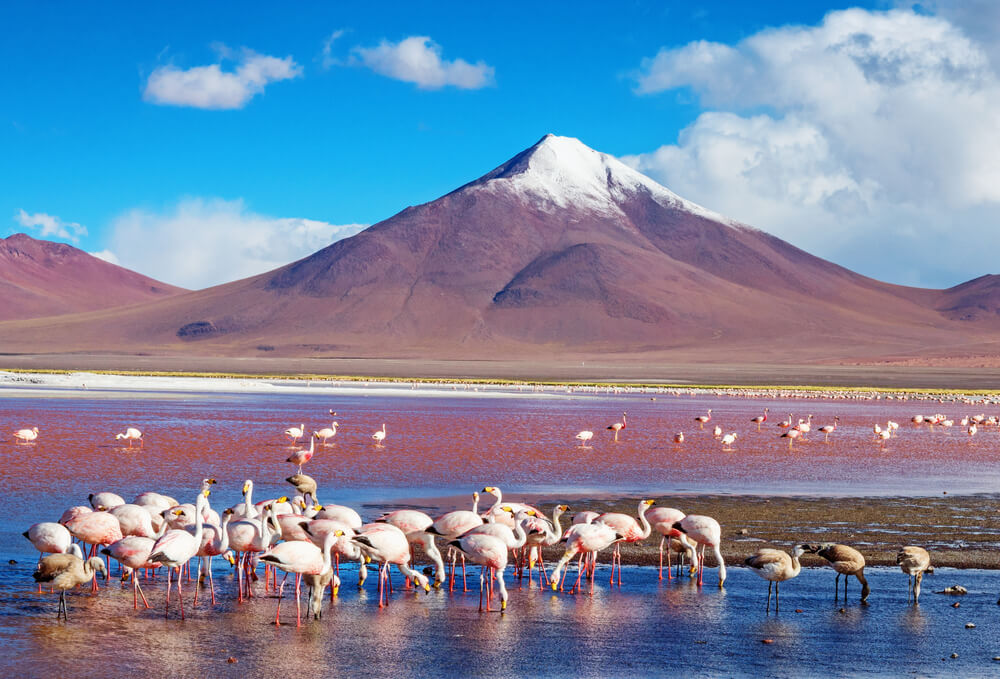 laguna-colorada.jpg